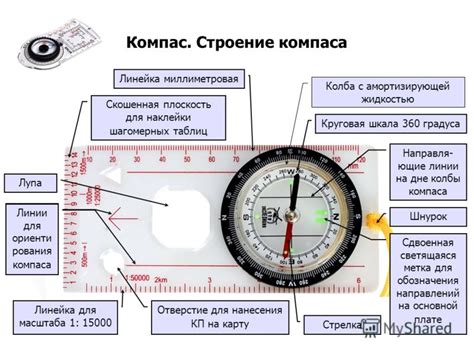 Определение направлений без компаса: полезные приемы