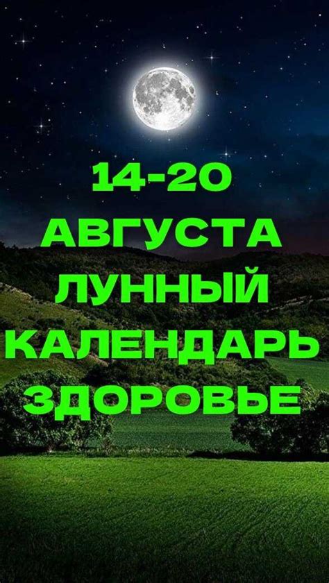 Определение оптимального времени для начала физических тренировок