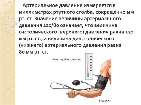 Определение показателей артериального давления: что измеряется и о чем говорят результаты