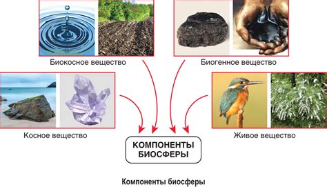 Определение понятия биосфера и ее ключевые компоненты