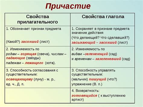 Определение прилагательного и причастия