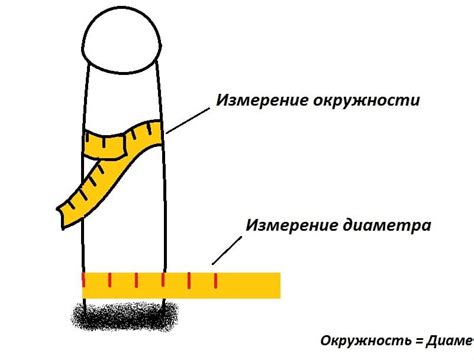 Определение размера презерватива через измерение полового члена