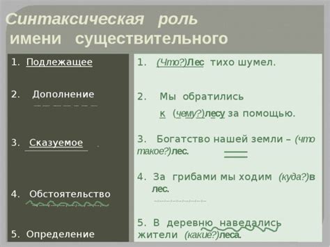 Определение роли существительного в предложении