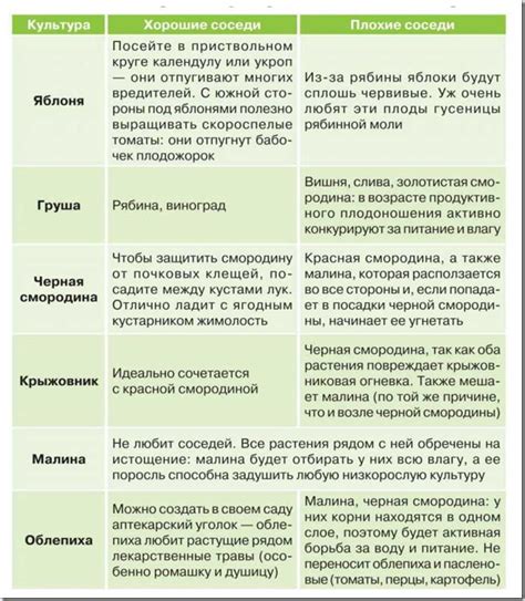 Определение совместимости и многообразие фруктовых растений в саду