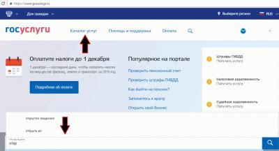 Определение статуса закрытия ИП через интернет-ресурсы