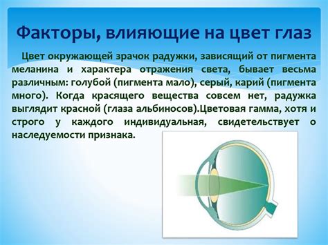 Определение цвета глаз и факторы, влияющие на него