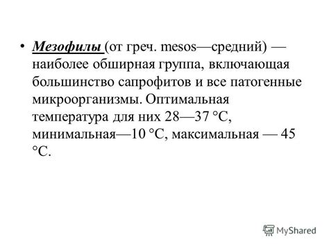 Оптимальная температура воздействия бактериофагов на патогенные микроорганизмы