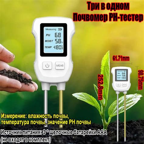 Оптимальная температура и влажность почвы