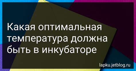 Оптимальная температура и условия хранения помидоров