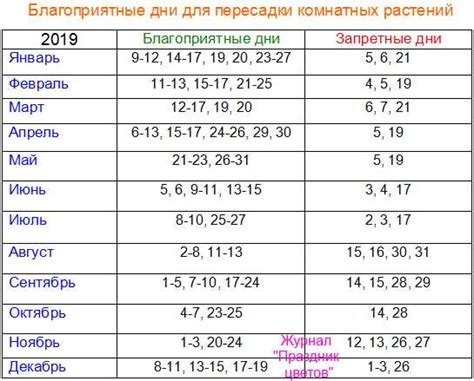 Оптимальное время и дни для прохождения анализа на функцию дыхания в столице Беларуси