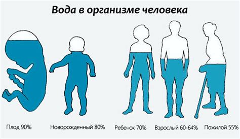 Оптимальное количество воды в питьевом режиме в зависимости от возраста