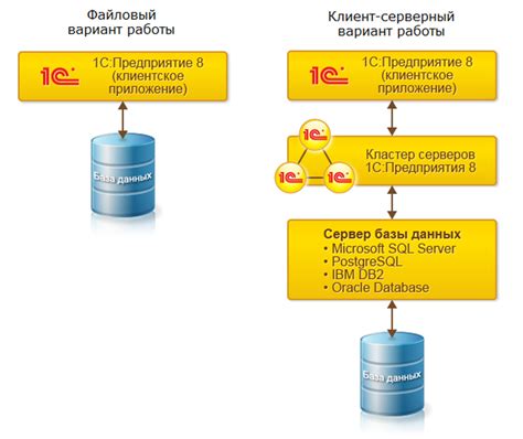 Оптимальное размещение базы данных в системе 1С: факторы, которые необходимо учесть