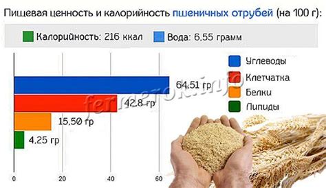 Оптимальное сочетание овсяных и пшеничных отрубей для получения максимальной пользы