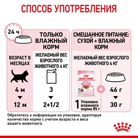 Оптимальные пропорции: баланс и польза смешивания творога и сухого корма