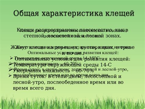 Оптимальные условия для замокулькаса: тепло и умеренная влажность