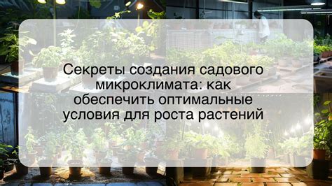 Оптимальные условия микроклимата для процветания виноградных растений в Подмосковье