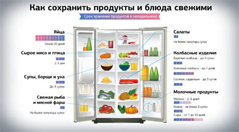 Оптимальные условия хранения в холодильнике