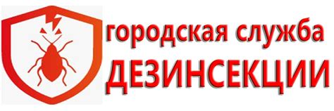 Оптимальный выбор для тех, кто желает сохранить свои финансы, не выезжая из города