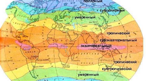 Оптимальный климат для процветания лишайников