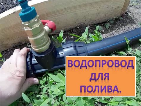 Оптимальный режим полива для достижения успешного роста