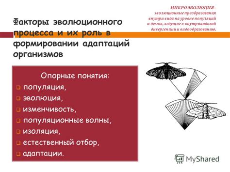 Оптимизация потомства: эволюционные адаптации петуха и его роль в генетическом предназначении