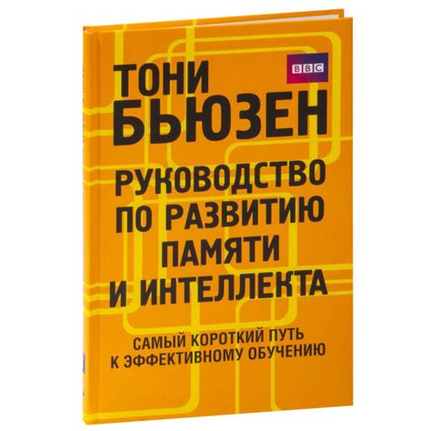 Оптимизация процесса усвоения информации: путь к эффективному обучению