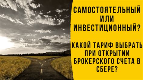 Опытные специалисты или самостоятельный подход: как выбрать способ аренды квартиры