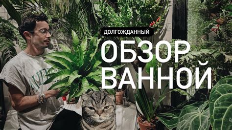 Опыт успешного выращивания молодых растений при помощи искусственного освещения