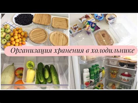 Организация идеального температурного режима для сохранения продуктов в холодильнике «Стинол»