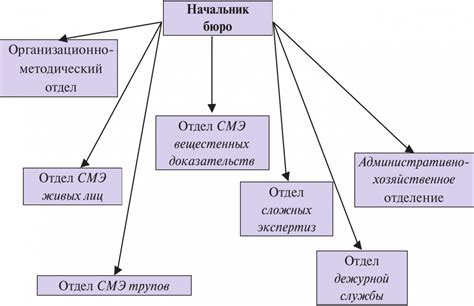 Организация и структура отчета