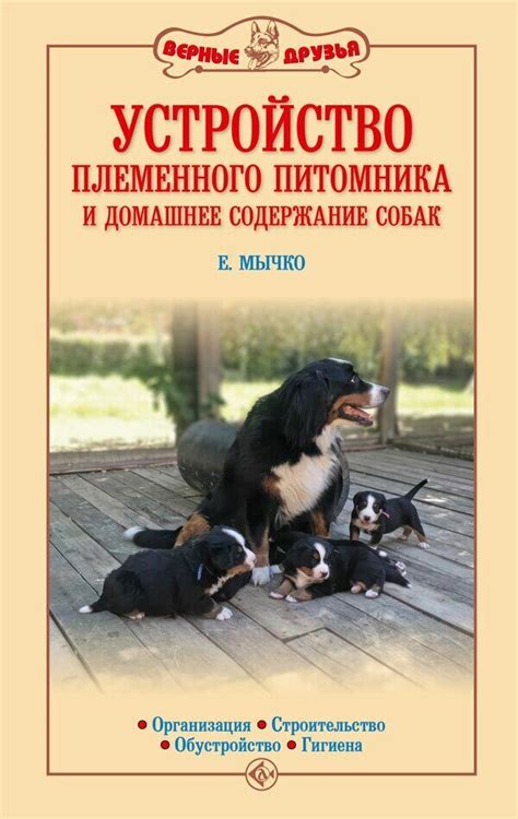 Организация питомника собак в Самаре: становление и основополагающие принципы