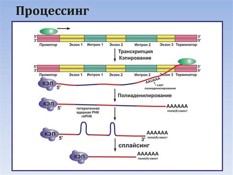 Организация процесса начала наследственного рассмотрения и расширение возможностей