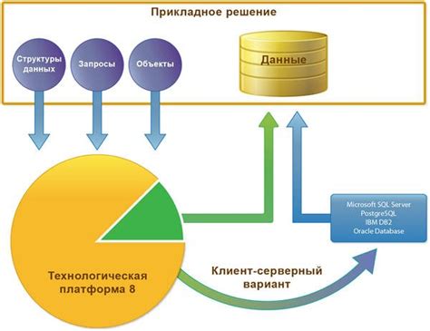 Организация эффективного управления базой данных клиентов в онлайн-магазине