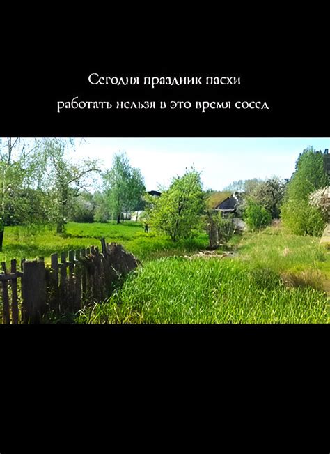 Организация эффективного хранения агробиопрепаратов в зимний период на приусадебном участке