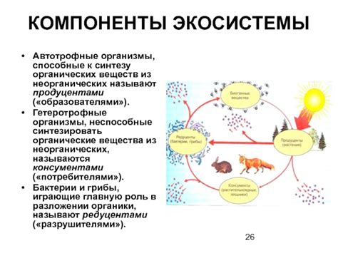 Организмы, неспособные к активному передвижению