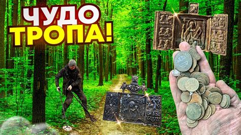 Орелский джуна: загадочный лес, где решаются судьбы