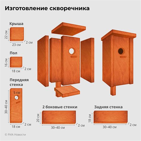 Ориентация скворечника: идеальное направление для установки