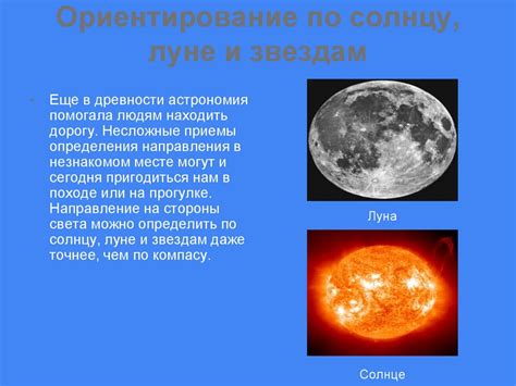 Ориентирование по небесным телам: откройте для себя пути определения пути в глубоких лесах