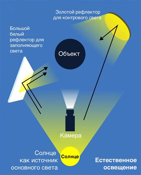 Освещение: необходимая интенсивность и специфика света для папоротника