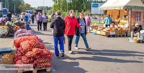 Осенние ярмарки и экономичные покупки