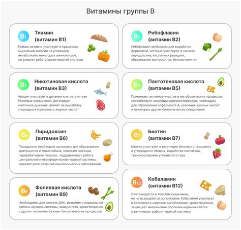 Основная информация о витаминах группы B