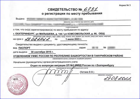 Основная информация о документе, подтверждающем регистрацию работы на самозанятом основании