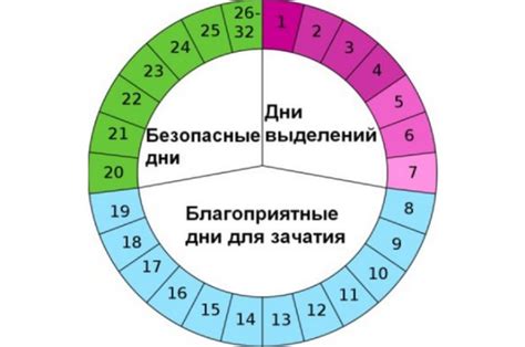 Основная информация о состоянии тела женщины во время беременности