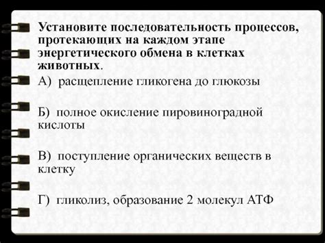 Основной механизм энергетического обмена в животных клетках: аэробное дыхание