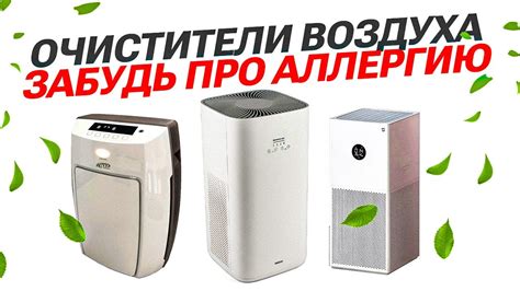 Основные виды аппаратов для очистки воздуха: какой подходит для вашего жилища