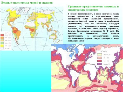 Основные водные объекты Максаковского и их роль в биологических системах