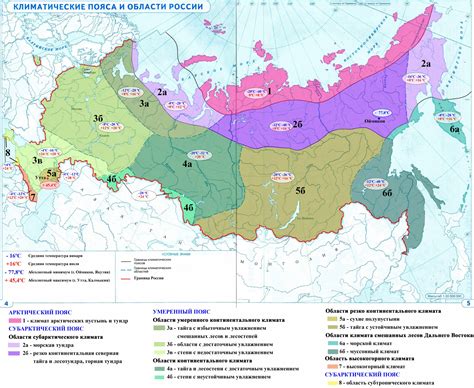 Основные географические районы произрастания черники и их преимущества