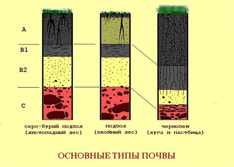 Основные заблуждения при подготовке почвы в осеннем периоде и способы их устранения