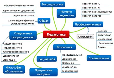 Основные задачи специалиста по коррекционной педагогике в дошкольном заведении