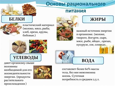 Основные источники необходимых аминокислот в рационе из растительных продуктов